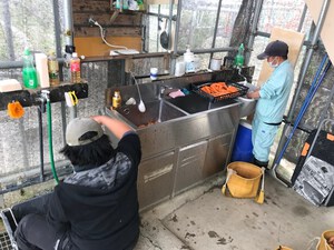 最近のハートレインボー　【2023年1月1日】