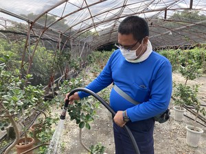 最近のハートレインボー【2022年4月23日】＃就労継続支援A型　＃沖縄　＃農業