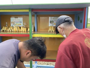 最近のハートレインボー【2022年4月23日】＃就労継続支援A型　＃沖縄　＃農業