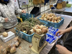 最近のハートレインボー　【2023年3月4日】