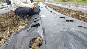 最近のハートレインボー　【2023年3月4日】