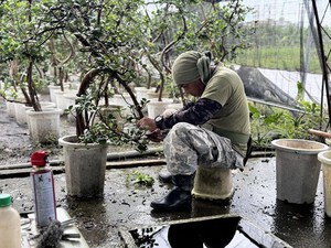 最近のハートレインボー【2024年9月21日】
