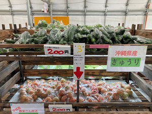 最近のハートレインボー【2025年2月22日】
