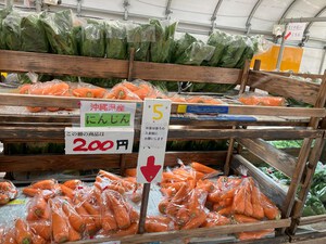 最近のハートレインボー【2025年2月22日】
