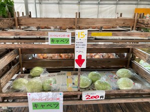 最近のハートレインボー【2025年2月22日】