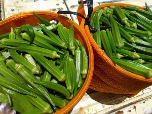 来週はなななんと！