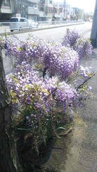 おはよーございます！ 2019/04/18 09:45:04