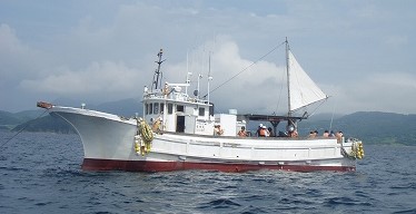 釣船（移動式イカダ・大型釣船）　　イサキ大漁