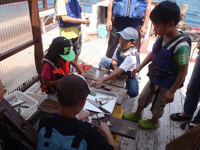 自給自足　ちびっ子たちの釣り紀行　　パートⅡ（自給編）