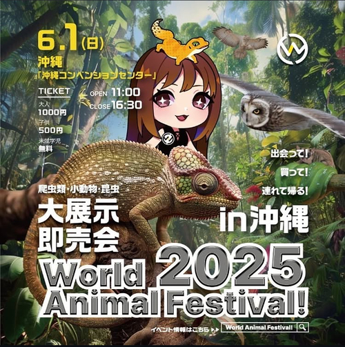 『World Animal Festival! in 沖縄』