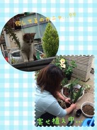 ☆覗き見（笑）☆
