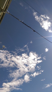沖縄県石垣島の天気☀ 2015/11/14 17:06:22