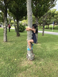 タイトルなし