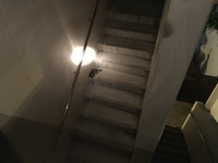 ハブが出た