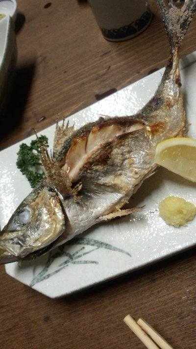 新 おとん 日記なるようにしかならん 17年02月23日