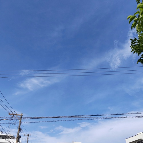 台風10号（サンサン）の影響は