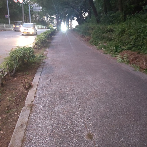 CGG運動とボランティア