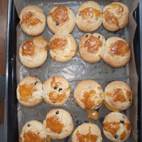 チョコスコーン 2024/04/13 09:24:51