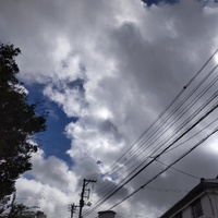 台風14号発生　又!!　早すぎ!! 2024/09/16 09:31:18