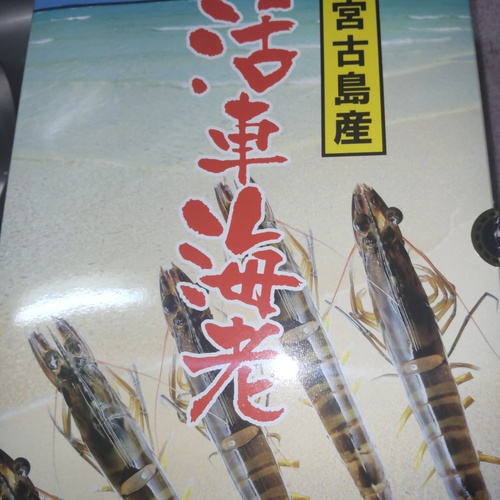 おせち料理準備中〜　活き車海老と格闘？