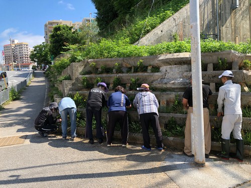 地域ボランティア「花咲かせ隊」活動日でした