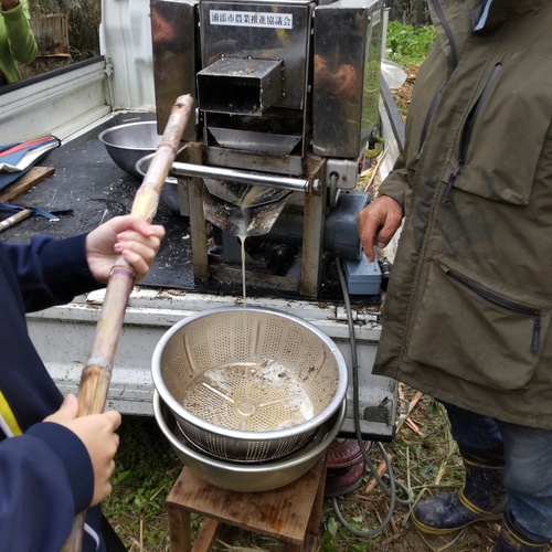 サトウキビで黒糖作り～