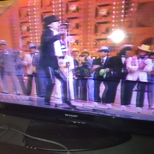 昔〜むかし？　若い頃　NHK 紅白歌合戦に　応援で〜