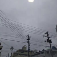 沖縄、奄美地方　梅雨入り 2024/05/21 11:36:58