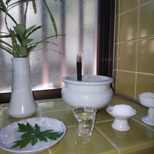 今日は旧暦　9月９日　「菊酒」