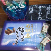 差し入れありがとう! 2024/06/12 09:25:26