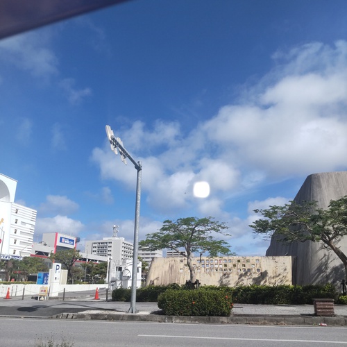 オンシジウム鉢植　ありがとう