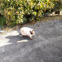 日向ぼっこ 2024/03/13 09:02:30