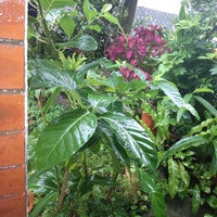 大雨 2024/04/15 10:34:48