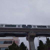 久しぶりの雨・・・ 2023/11/02 11:54:29