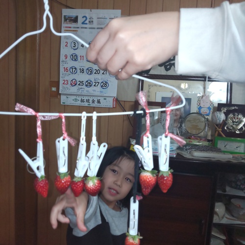 孫ちゃん　イチゴ狩りに行けない代わりに〜
