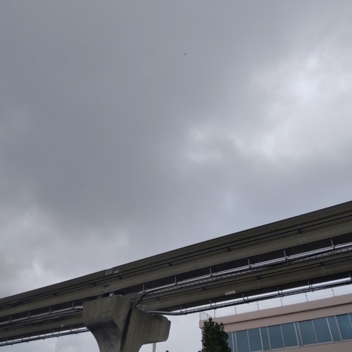 台風14号(コイヌ)　