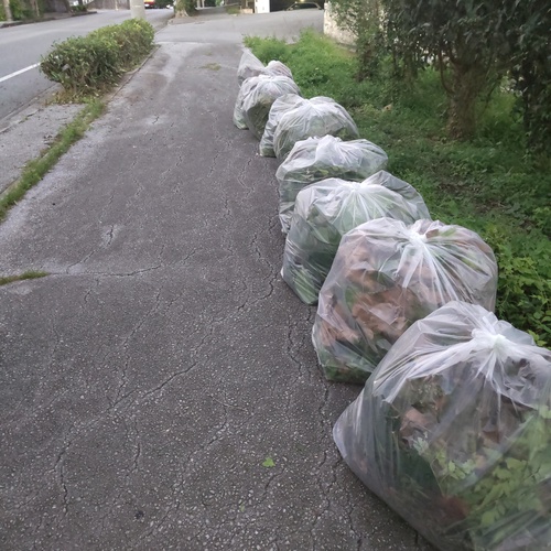 道路の草刈ボランティア　2回目でした～