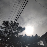 久しぶりの外干し〜 2024/06/20 09:23:51