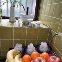 屋敷の拝み　をしました 2023/09/27 09:12:35