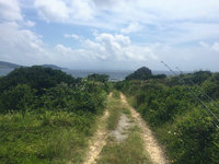釣ってきたどー（久々本人登場の巻）