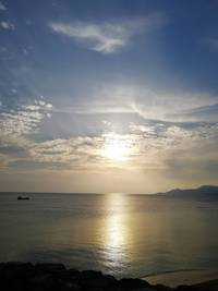 今日の夕陽と猫 2020/04/30 21:08:42