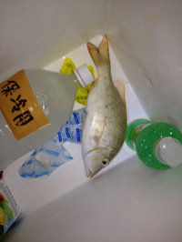 ちっちゃっ… 2014/08/03 02:11:24