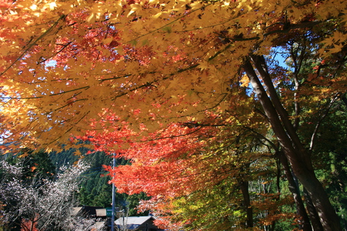 旅④城峰公園