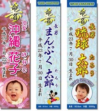命名紙 2011/10/10 16:32:14