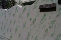 2002年 シコク賞受賞