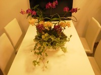 Ｓ様　の寄せ植え★