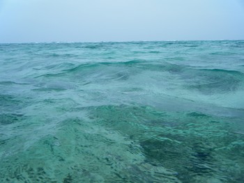 やんばる激流シャロー