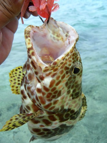 やんばる激流シャロー