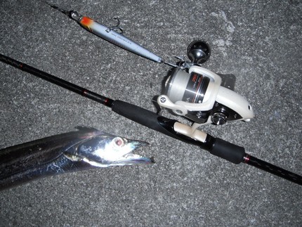 ホームで２夜連続太刀魚