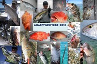 2011年の振り返り